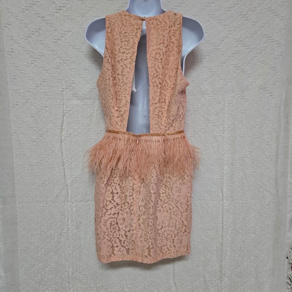 Revolve Endless Rose Lace Feather Replum Dress SZ Med NWT Apricot color coquette - Picture 4 of 11